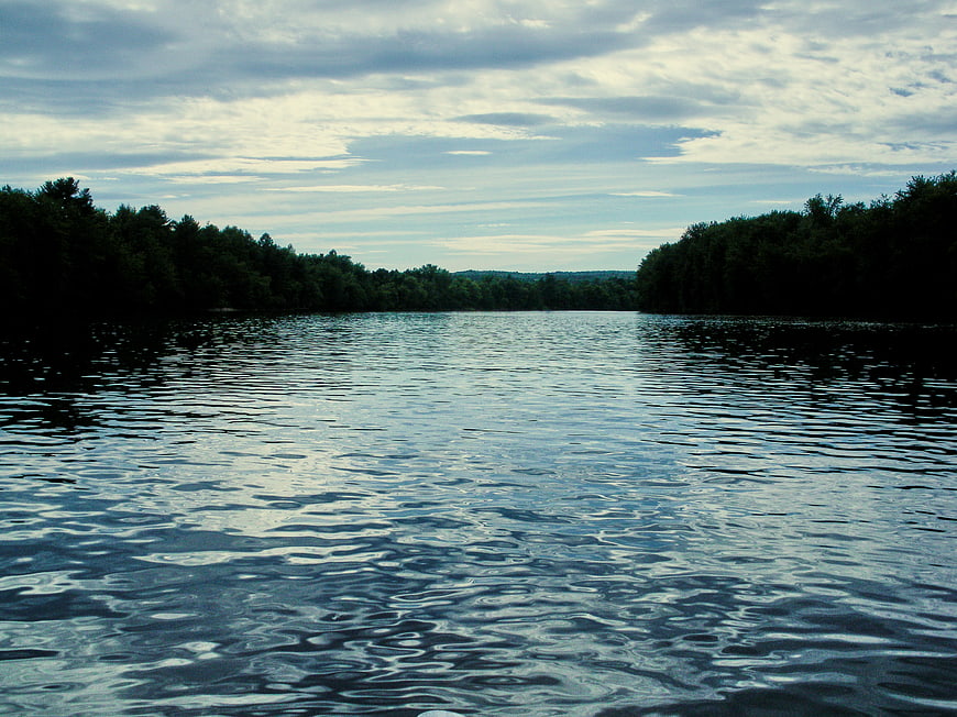 Serene Lake Landscape with Rippling Water and Forest