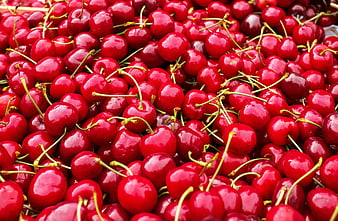 Close-up of Fresh Red Cherries with Green Stems