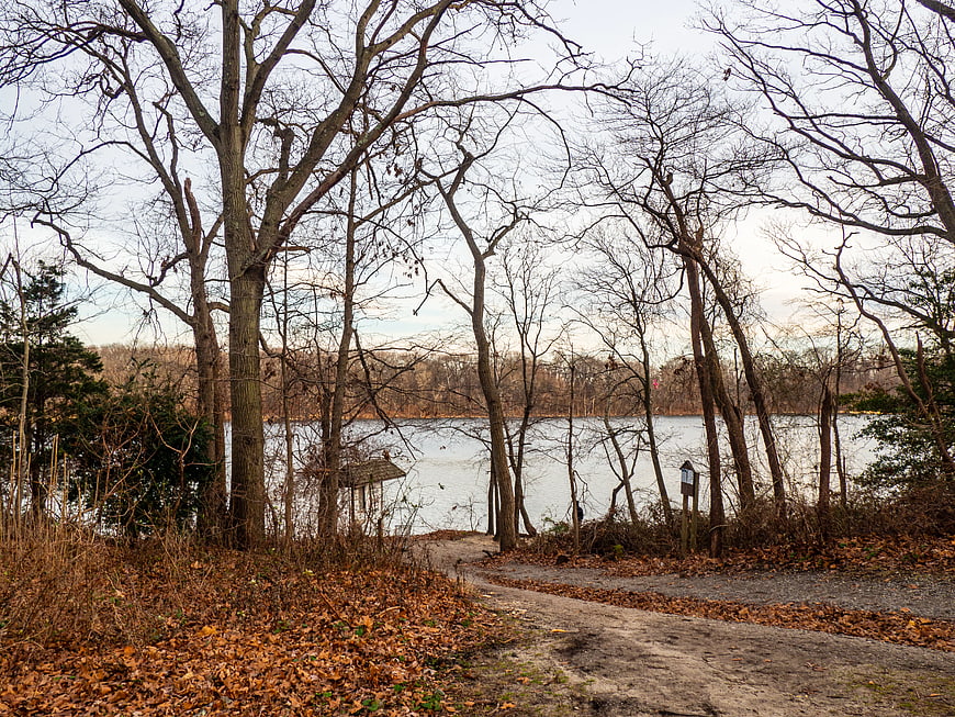 Dirt Path Leading to Lake Through Bare Winter Trees