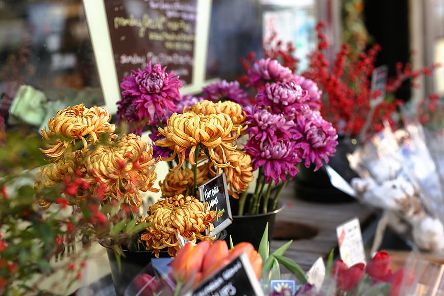 Colorful Chrysanthemums and Tulips in a Flower Shop Display