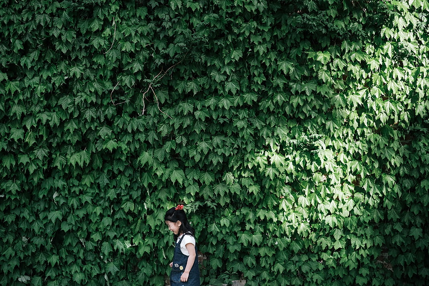 Little girl walking past a wall of green ivy leaves
