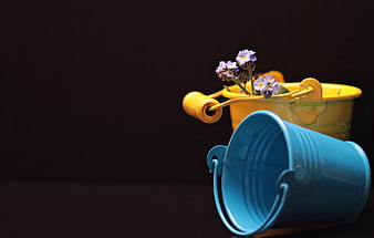 Blue and yellow toy buckets with forget-me-not flowers on dark background
