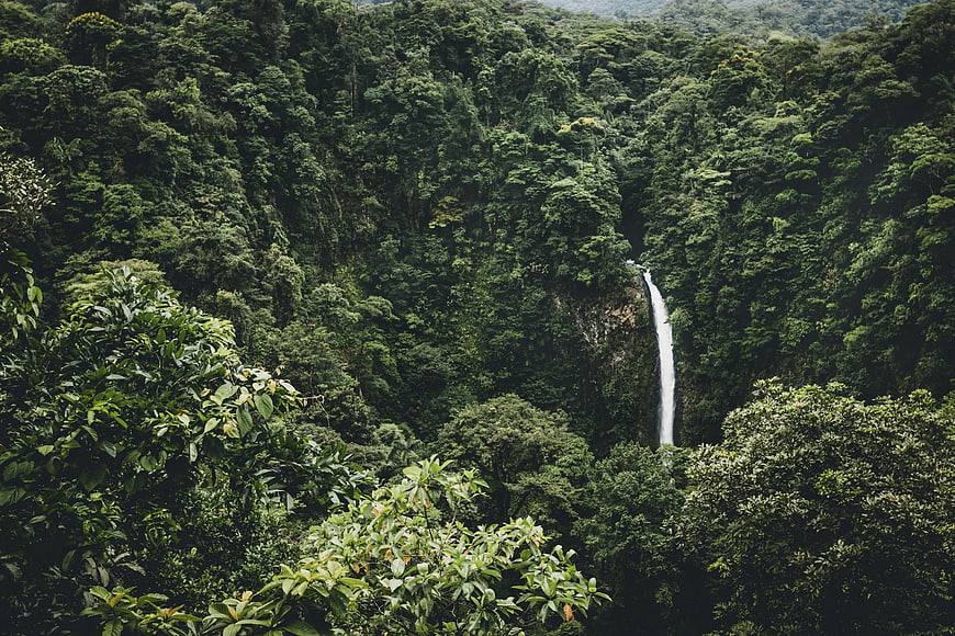 Tall waterfall cascading through dense tropical rainforest