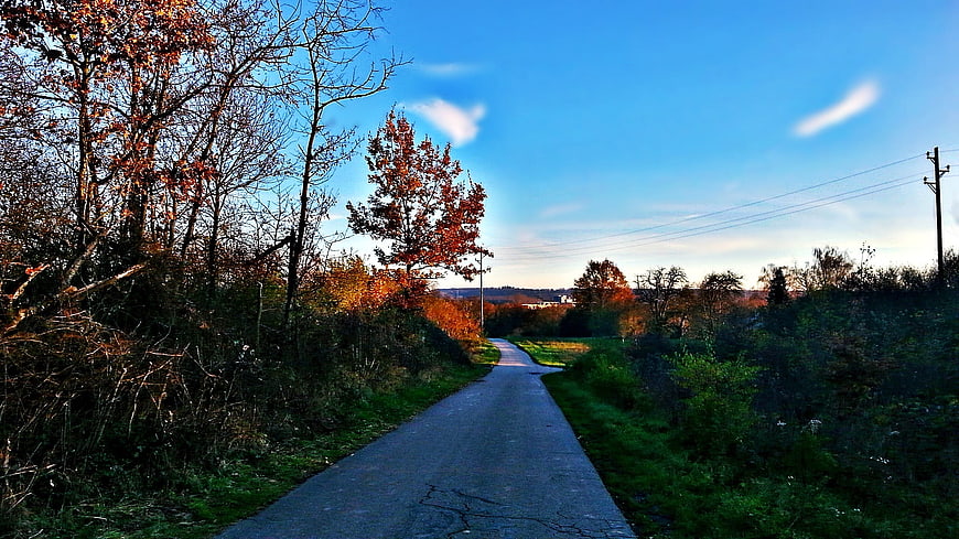 Paved country road winding through autumn trees and blue sky