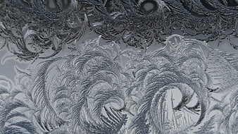Intricate frost patterns on frozen glass window