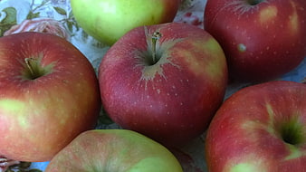 Close-up of fresh red and green apples on floral cloth