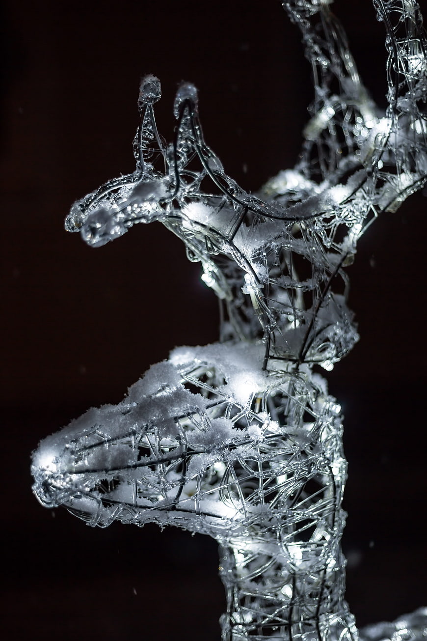 Frozen wireframe reindeer sculpture with snow and lights