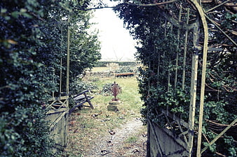 Rustic Garden Gate with Overgrown Vines and Path
