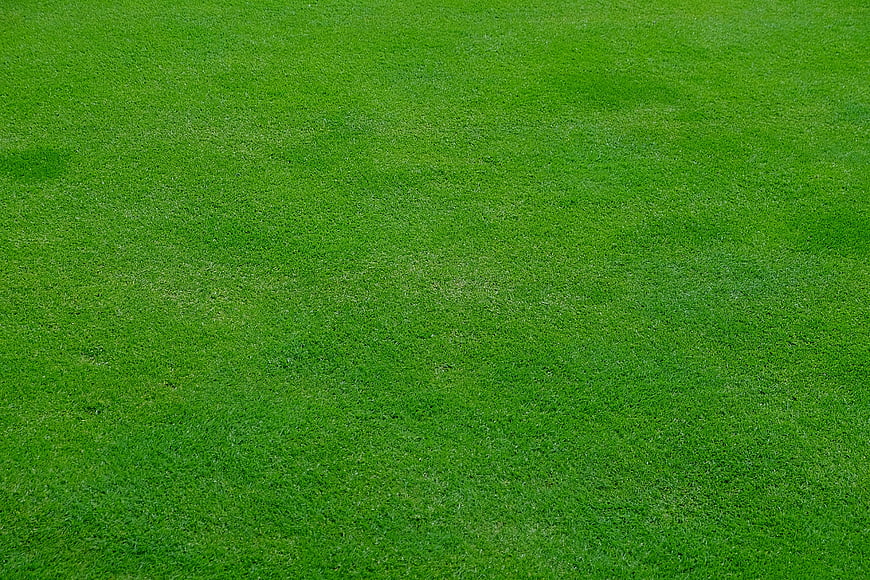 Vibrant Green Grass Lawn Texture Background