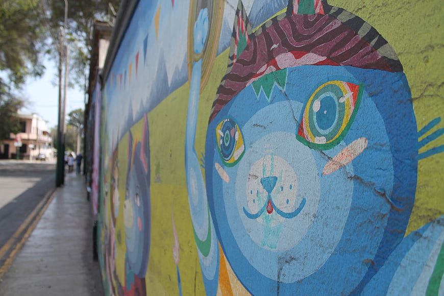 Colorful Cat Mural on Street Wall in Peru
