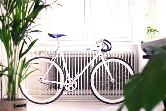 Minimalist White Road Bike in Bright Indoor Setting