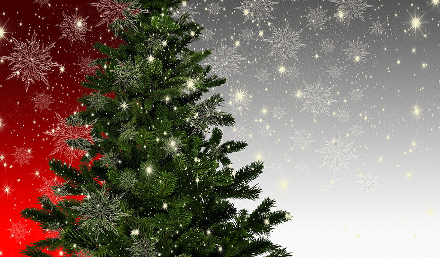 Christmas fir tree with snowflakes and stars on red and gray background