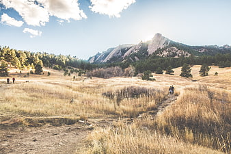 Hikers on Trail in Golden Grassland with Rocky Mountain Peaks