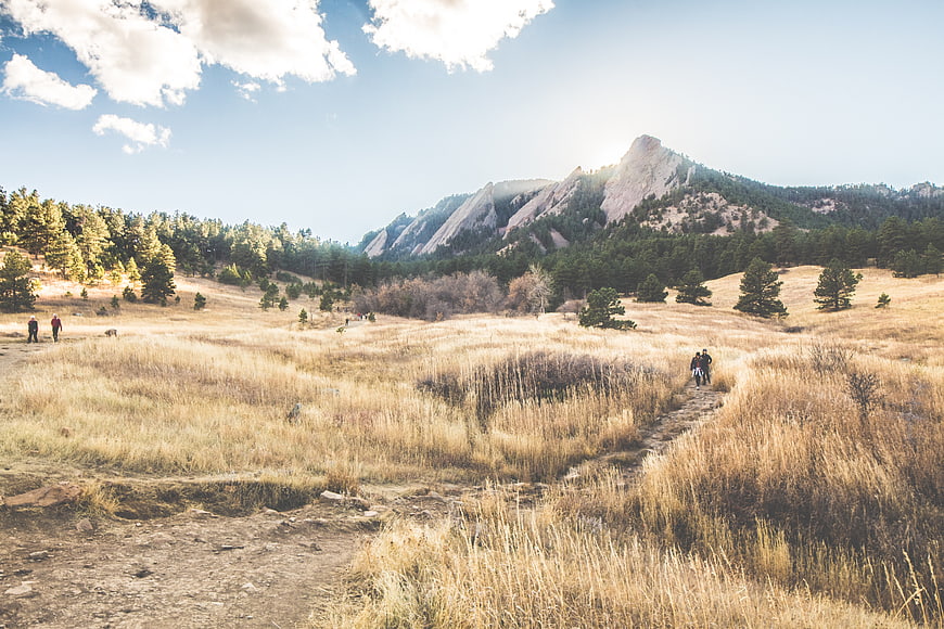 Hikers on Trail in Golden Grassland with Rocky Mountain Peaks