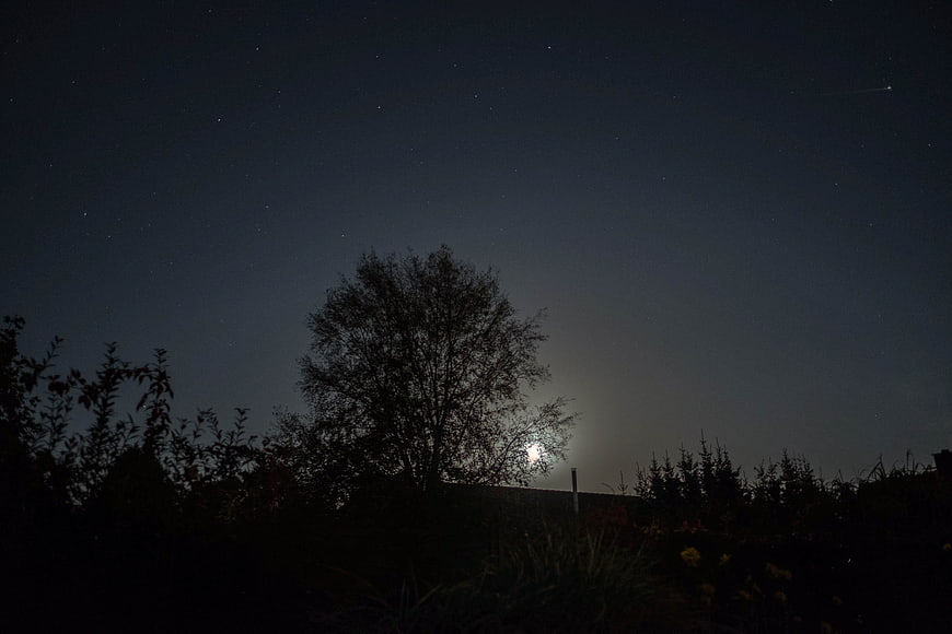 Silhouette of a tree against a starry night sky with moon