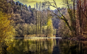 Serene River Landscape with Forest Reflections in Spring