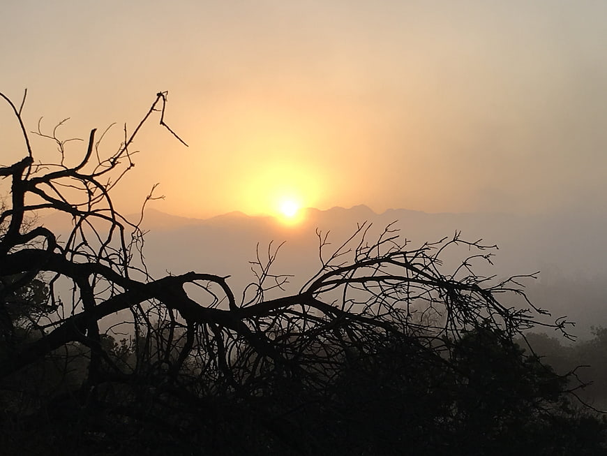 Silhouette of bare tree branches against a hazy sunrise over mountains