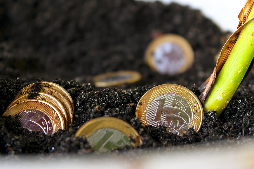 Brazilian Real coins buried in soil with plant sprout