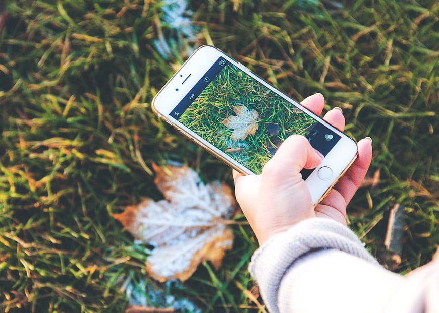 Hand holding smartphone photographing frosty autumn leaf on grass