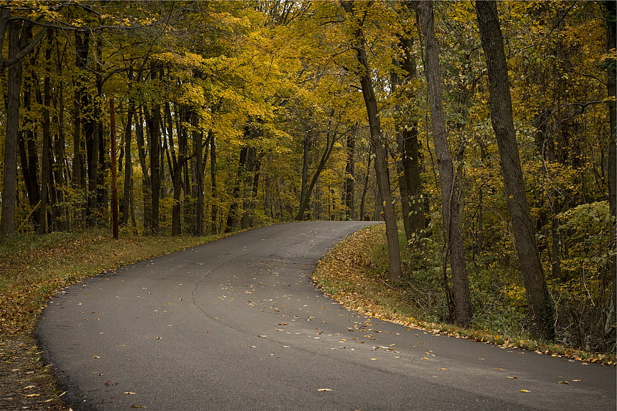 Winding asphalt road through autumn forest with yellow leaves