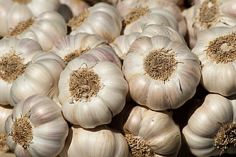 Close-up of fresh garlic bulbs in a pile