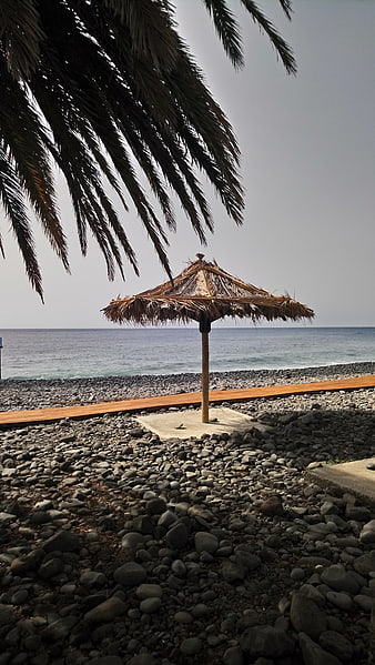 Thatched Beach Umbrella on Rocky Shore with Palm Leaves
