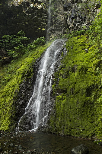 Mossy waterfall cascading down a rocky cliff in a lush forest