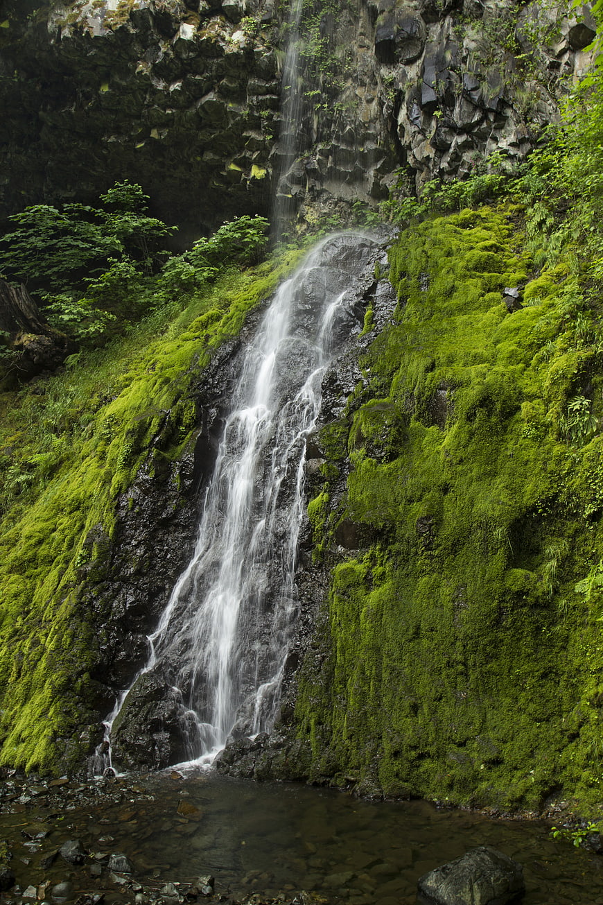 Mossy waterfall cascading down a rocky cliff in a lush forest