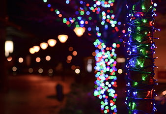 Colorful Christmas lights wrapped around tree trunk at night