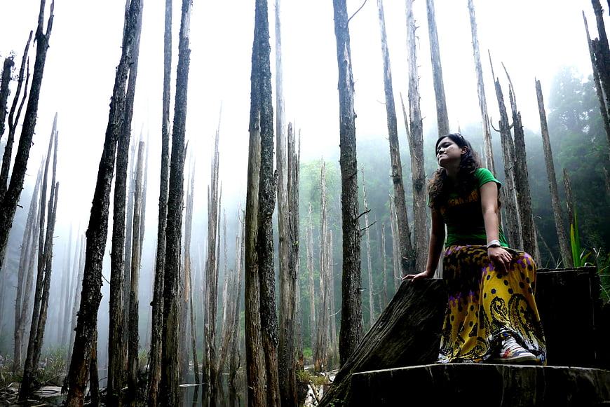 Woman sitting in misty forest with dead trees