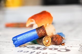 Boletus mushroom and shotgun shells on paper