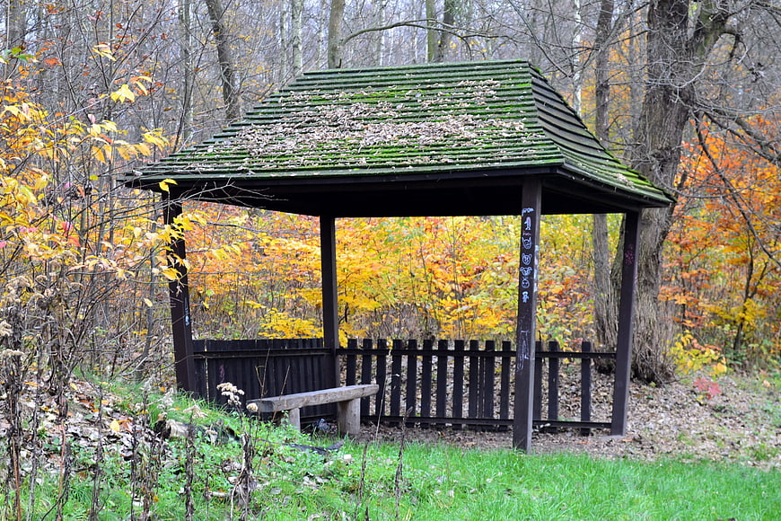 Wooden gazebo with mossy roof in autumn forest