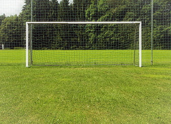 Empty soccer goal on green grass field with forest background