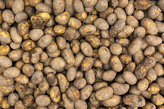 Top View of Raw Yellow Potatoes Piled Together