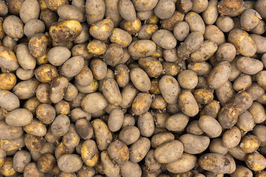 Top View of Raw Yellow Potatoes Piled Together