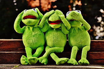 Three Kermit plush toys sitting on a wooden bench
