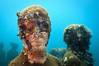 Underwater Sculpture Park Coral Reef Marine Life