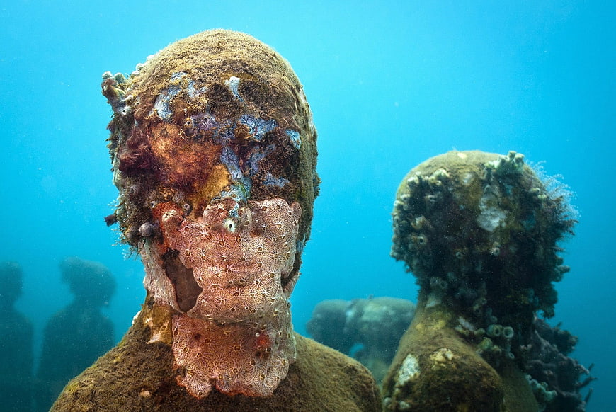 Underwater Sculpture Park Coral Reef Marine Life