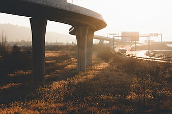 Sunlit Highway Overpass with Golden Grass and Traffic