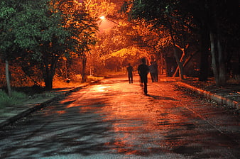 Silhouetted figures walking on a dark, orange-lit forest path at night