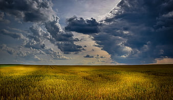 Dramatic Storm Clouds Over Golden Wheat Field Landscape