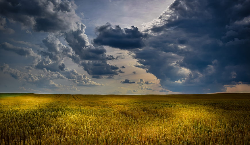 Dramatic Storm Clouds Over Golden Wheat Field Landscape