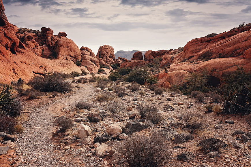 Red Rock Canyon Desert Landscape with Hiking Trail
