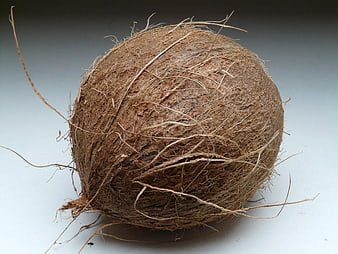 Whole Raw Coconut With Fibrous Husk On White Background