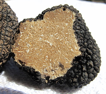 Close-up of sliced black truffle on white background
