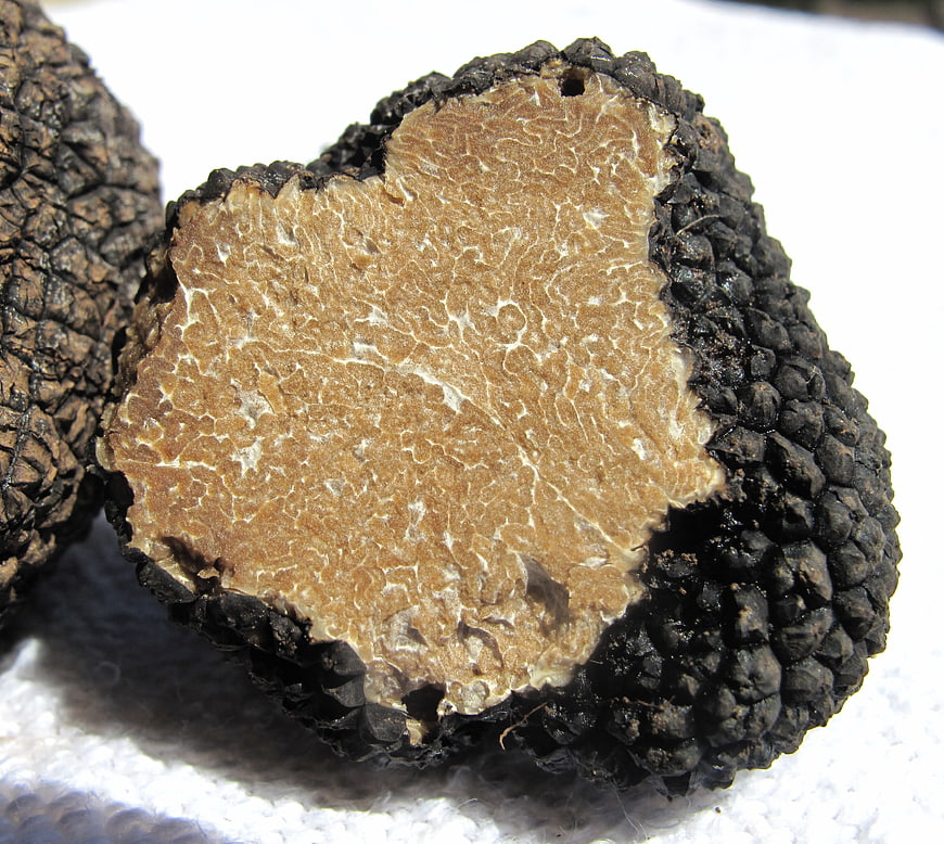 Close-up of sliced black truffle on white background
