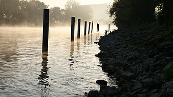 Misty river sunrise with wooden pilings and fishing silhouettes