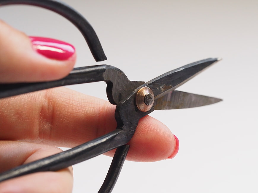 Close-up of hand holding vintage black scissors with pink nails