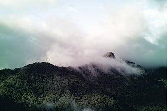 Misty Mountain Peak with Lush Forest and Clouds