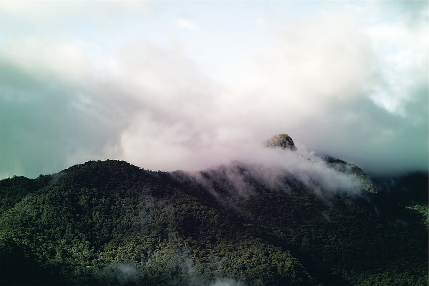 Misty Mountain Peak with Lush Forest and Clouds
